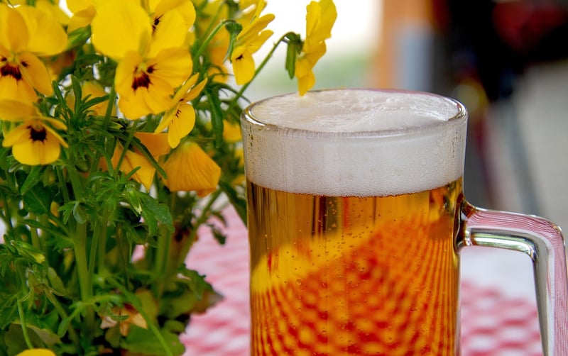 Oktoberfest Beer